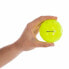Фото #2 товара Мяч для сквоша Pickleball Softee Premium Зеленый