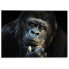 Фото #1 товара Glasbild Gorilla Affe