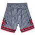 Фото #2 товара Mens Mitchell & Ness NBA SWINGMAN SHORTS - CHICAGO BULLS 1995