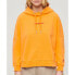 SUPERDRY Sportswear Logo Boxy hoodie