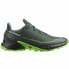 Фото #1 товара Мужские спортивные кроссовки Salomon Alphacross 5 Зеленый