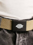 Dickies orcutt clip belt in khaki