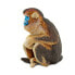 Фото #4 товара Фигурка Safari Ltd Обезьяна со сплюшниковым носом Snub Nosed Monkey Figure Wild Safari Wildlife (Дикая Сафари Природа)