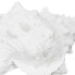 Фото #2 товара Декоративная фигура Белый Раковина 21 x 14 x 12 cm