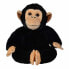 Фото #1 товара SIMBA Disney Stuffed Chimpance 25 cm