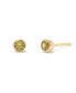 ფოტო #3 პროდუქტის Natural Stones 14K Gold-Plated Vermeil Sage Birthstone Earrings