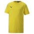 ფოტო #2 პროდუქტის PUMA Teamgoal 23 Casuals short sleeve T-shirt