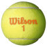 WILSON Starter Tennis Ball