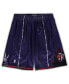 Men's Mitchell Ness Purple Toronto Raptors Big Tall Hardwood Classics Team Swingman Shorts