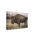 Фото #2 товара Adam Mead Solitary Bison IV Canvas Art - 37" x 49"