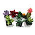 Фото #3 товара Строительный набор Lego Succulent 10309 771 Предметы Разноцветный