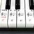 Фото #6 товара RockJam 49-key portable digital piano keyboard with power stand, power supply and note key stickers