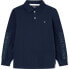 Фото #1 товара HACKETT Logo Tape long sleeve polo