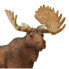 Фото #4 товара Фигурка Safari Ltd Bull Moose - Фигурка Safari Ltd Bull Moose Figure (Фигурка SAFARI LTD Bull Moose Figure)