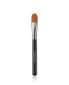 Фото #1 товара bareMinerals Brushes Max Coverage Concealer Brush