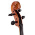 Hidersine Vivente Academy Cello Set 4/4