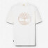 Фото #5 товара TIMBERLAND Merrymack River Garment Dye Logo Graphic short sleeve T-shirt