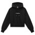 Фото #1 товара DICKIES Loretto Boxy hoodie