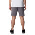 Фото #5 товара COLUMBIA Columbia™ Shorts