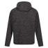 Фото #2 товара REGATTA Kassian hoodie fleece