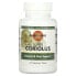 Фото #1 товара Super Coriolus, 120 Vegetarian Tablets