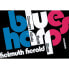 Фото #1 товара Hohner Verlag Spielanleitung Mundharmonika Blues Harp, Herold