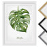 Фото #2 товара Bild Aquarell Botanik Monstera II