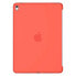 APPLE iPad Pro 9.7 Case