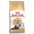 ფოტო #1 პროდუქტის ROYAL CANIN Persian Poultry Maize Adult 4kg Cat Food