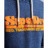 Фото #5 товара SUPERDRY 70S Retro Font Logo hoodie