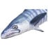 GABY Spanish Mackerel Pillow