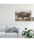 Фото #3 товара Adam Mead Solitary Bison IV Canvas Art - 37" x 49"