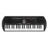 Casio SA-81 (black/gray)