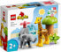 Фото #3 товара Детям LEGO Duplo 10971 Африканская живность - конструктор с слоном и жирафом, плеймат, 2+ лет