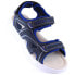 Фото #1 товара McKeylor Jr JAN229A Velcro sandals, navy blue