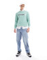 Фото #6 товара Timberland large script logo sweatshirt in light green