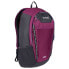 Фото #1 товара REGATTA Highton 25L backpack