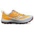 SAUCONY Peregrine 14 trail running shoes