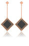 Elegant bicolor steel earrings