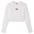 ფოტო #3 პროდუქტის DICKIES Maple Valley long sleeve T-shirt