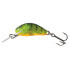 Фото #5 товара SALMO Hornet Floating crankbait 7g 50 mm