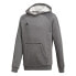 Фото #1 товара ADIDAS Core 18 hoodie