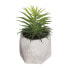 Фото #1 товара Декоративное растение Atmosphera 7 x 14 cm Зеленый PVC