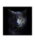 Фото #1 товара Alain Gillet Blue Cat Canvas Art - 15" x 20"