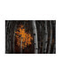 Darren White Photography Light of the Forest Flowering Canvas Art - 27" x 33.5"