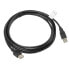 Фото #1 товара удлинительный USB-кабель Lanberg CA-USBE-10CC-0030-BK Чёрный 3 m