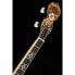 Фото #15 товара Gold Tone IT-250-F Irish Tenor Banjo w/C