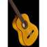 Alhambra 3F-G Flamenco incl.Gig Bag