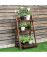Фото #3 товара 3 Tier Outdoor Wood Design Flower Pot Shelf Stand Folding Display Rack Garden