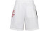 Nike Sportswear Swoosh Shorts CJ4905-100